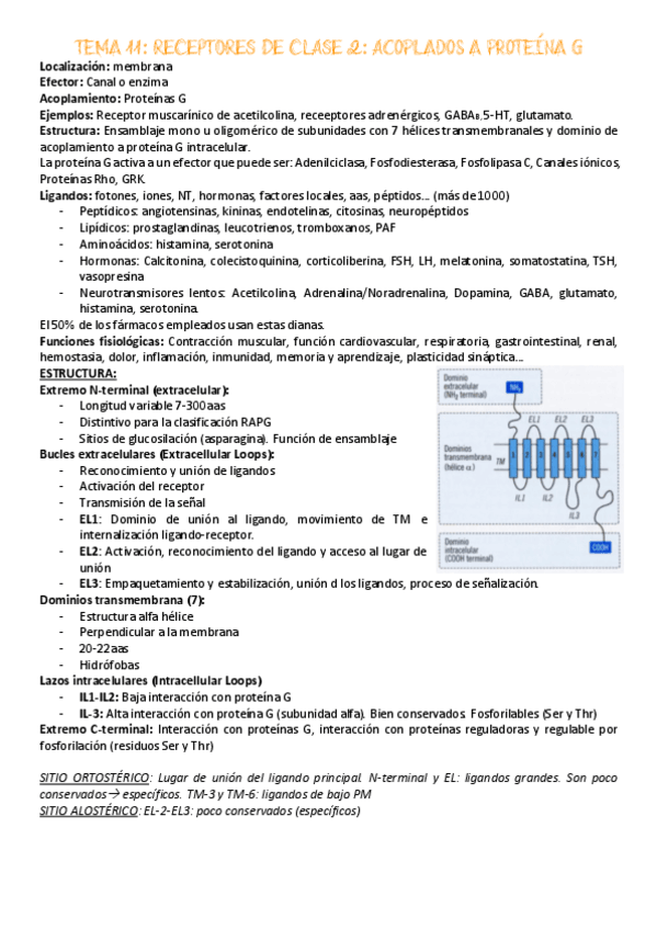 Miniatura del documento Tema-11.pdf