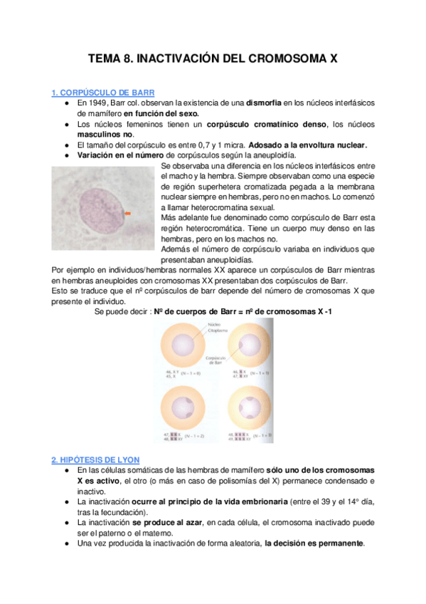 Miniatura del documento TEMA-8-INACTIVACION-DEL-CROMOSOMA-X.pdf
