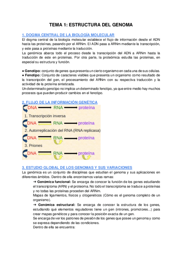 Miniatura del documento TEMA-1-ESTRUCTURA-DEL-GENOMA.pdf
