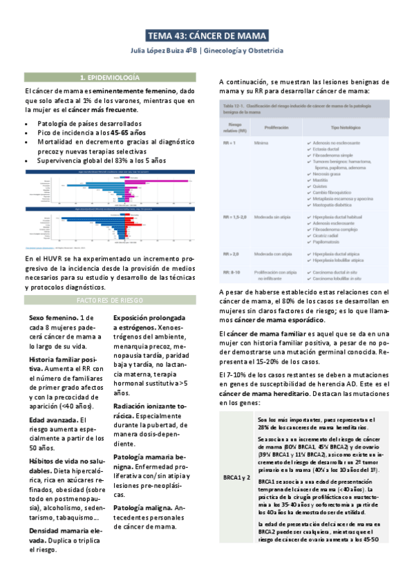 Miniatura del documento 43-Cancer-de-mama.pdf