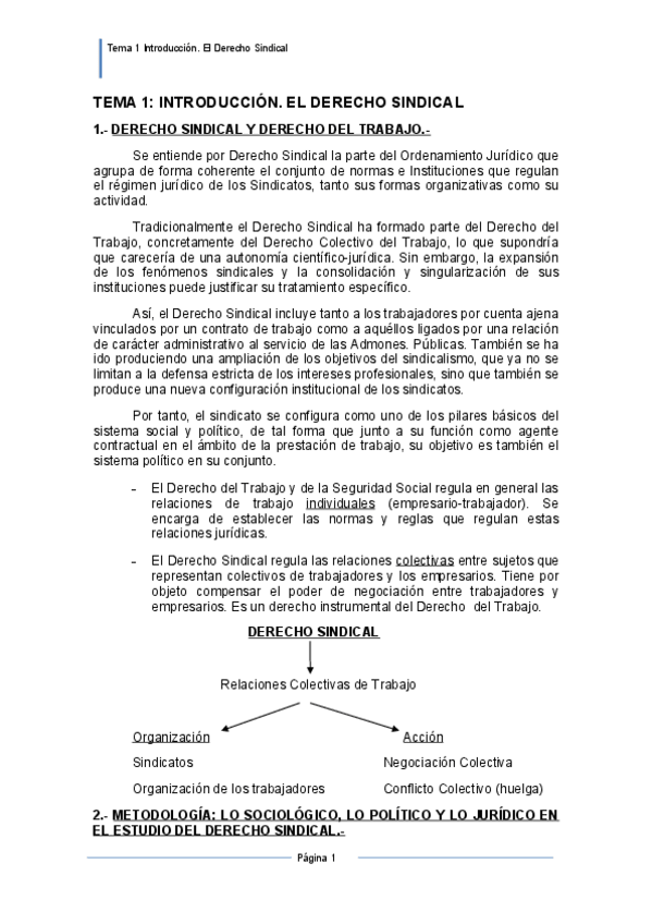 Miniatura del documento TEMA-1-INTRODUCCION.pdf