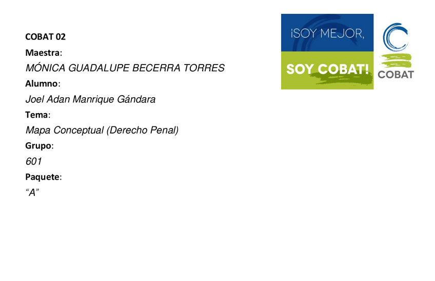 Miniatura del documento Mapa-Conceptual-Derecho-Penal-601.pdf