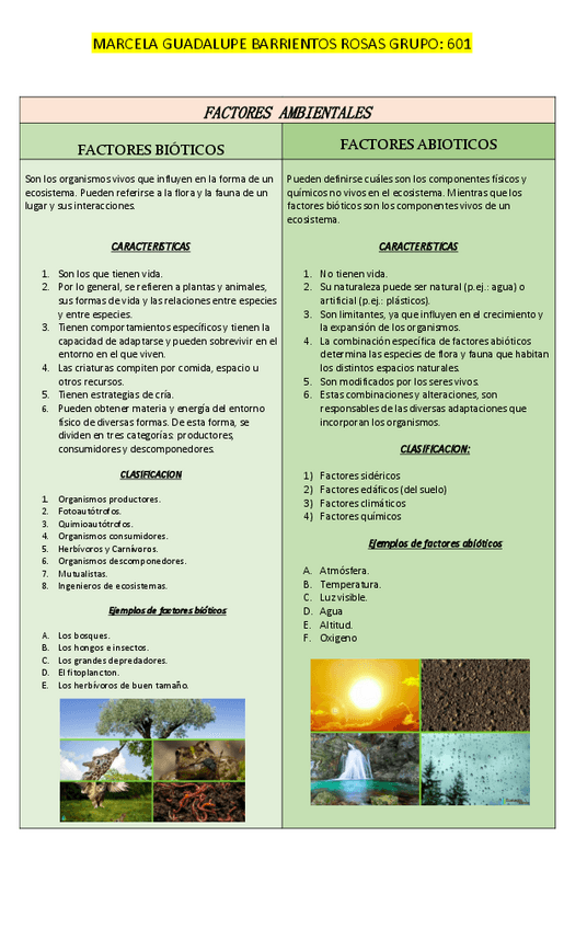 Miniatura del documento ACTIVIDAD-1.pdf