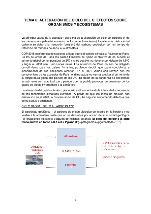 Miniatura del documento Tema-6-CG.pdf