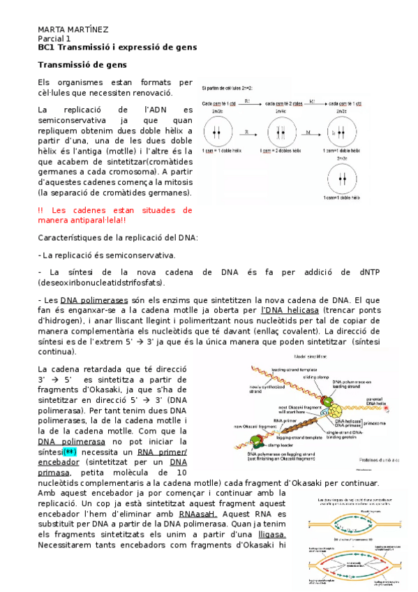 Miniatura del documento Parcial-1.docx