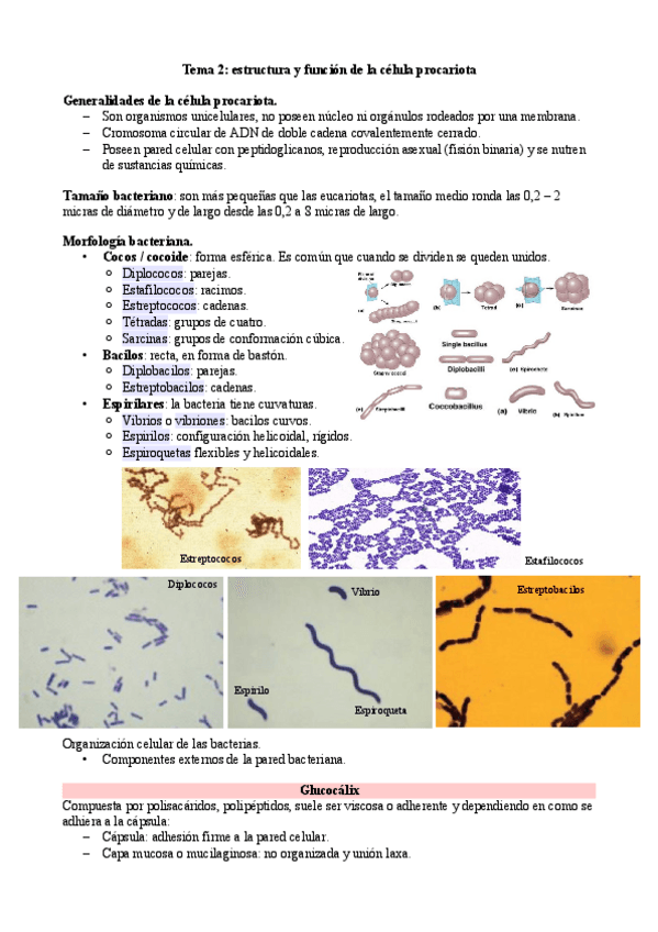 Miniatura del documento Tema-2.pdf