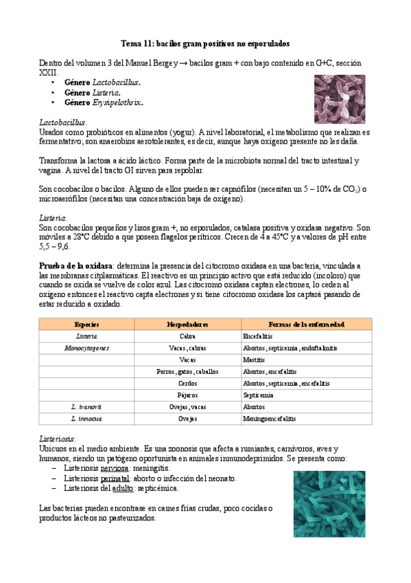 Miniatura del documento Tema-11.pdf