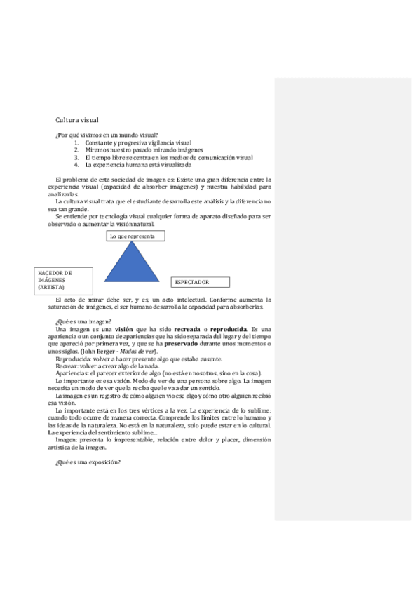 Miniatura del documento Apuntes-Cultura-Visual.pdf