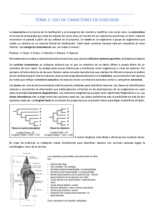 Miniatura del documento TEMA-2.pdf