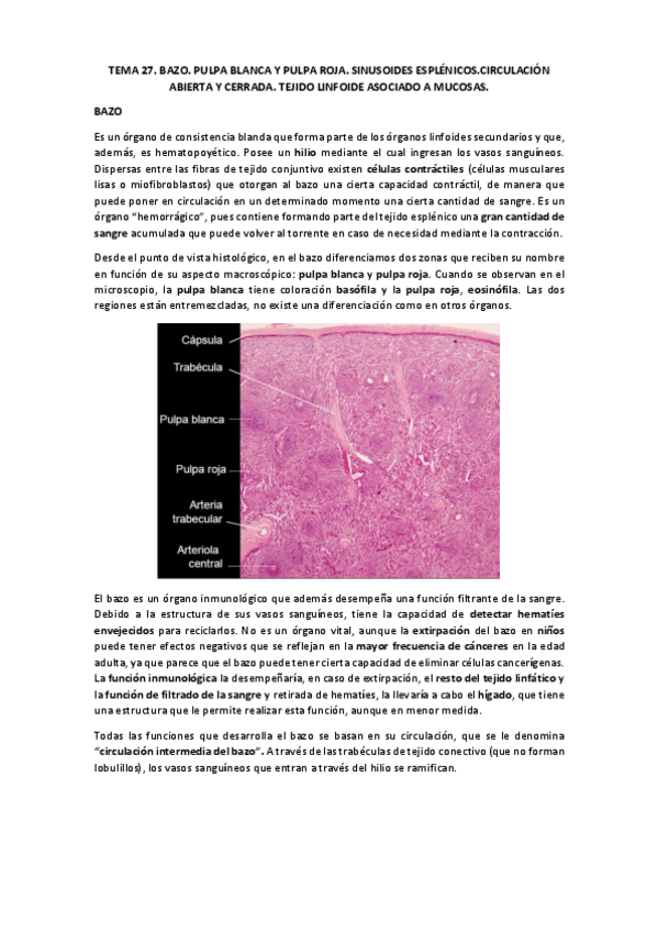 Miniatura del documento TEMA 27 para wuolah.pdf