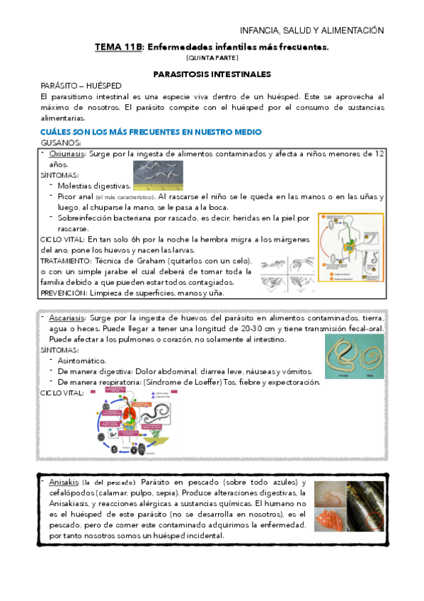 Miniatura del documento TEMA-11B-mis-apuntes.pdf