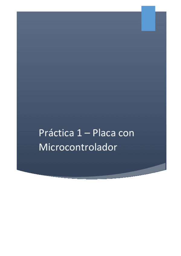 Miniatura del documento practica-1-1.pdf
