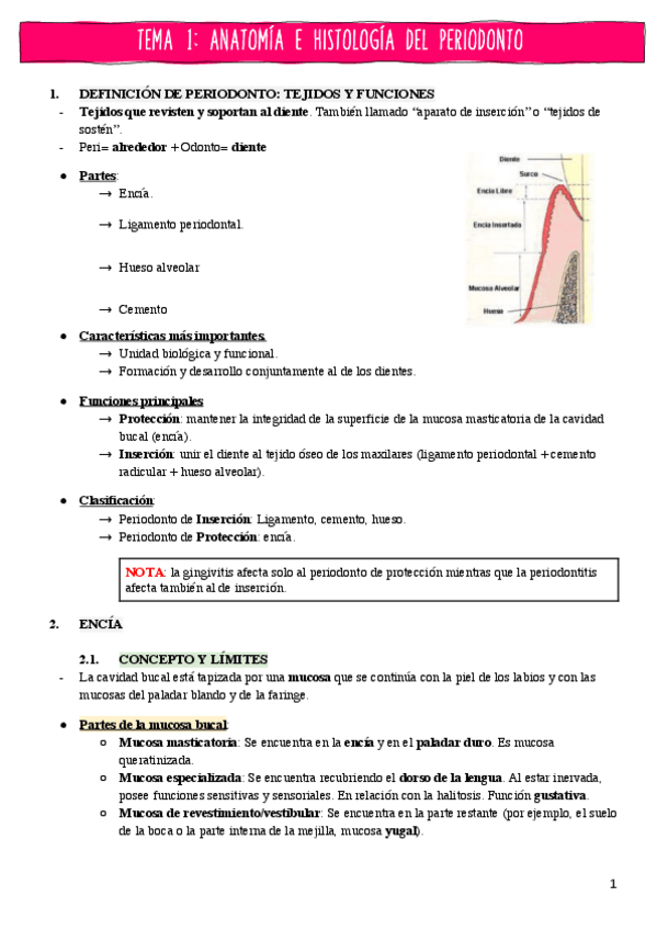 Miniatura del documento TEORIA-PERIO.pdf