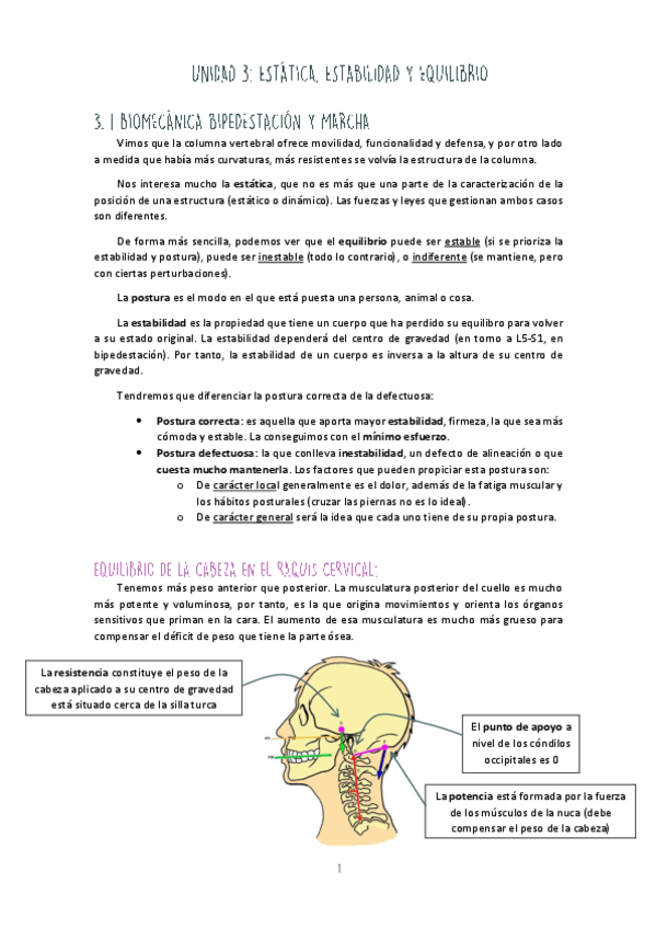 Miniatura del documento Bloque-III-Bipedestacion.pdf