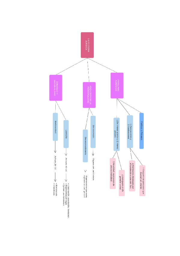 Miniatura del documento Persona-Juridica.docx