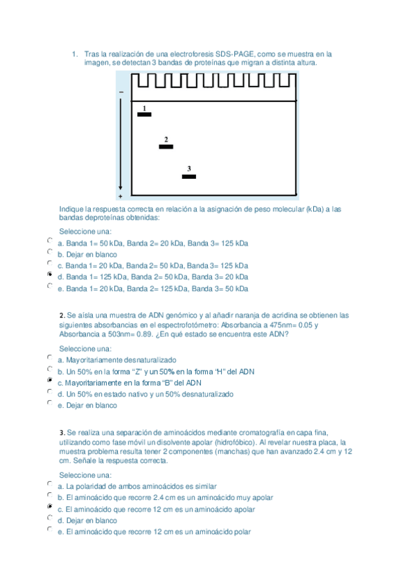 Miniatura del documento EXAMEN-TEST-PRACTICAS-BIOQUIMICA-2019-2020.pdf