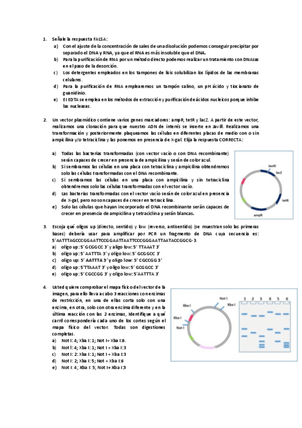 Miniatura del documento 3er-Parcial-BQII-RESUELTO.pdf