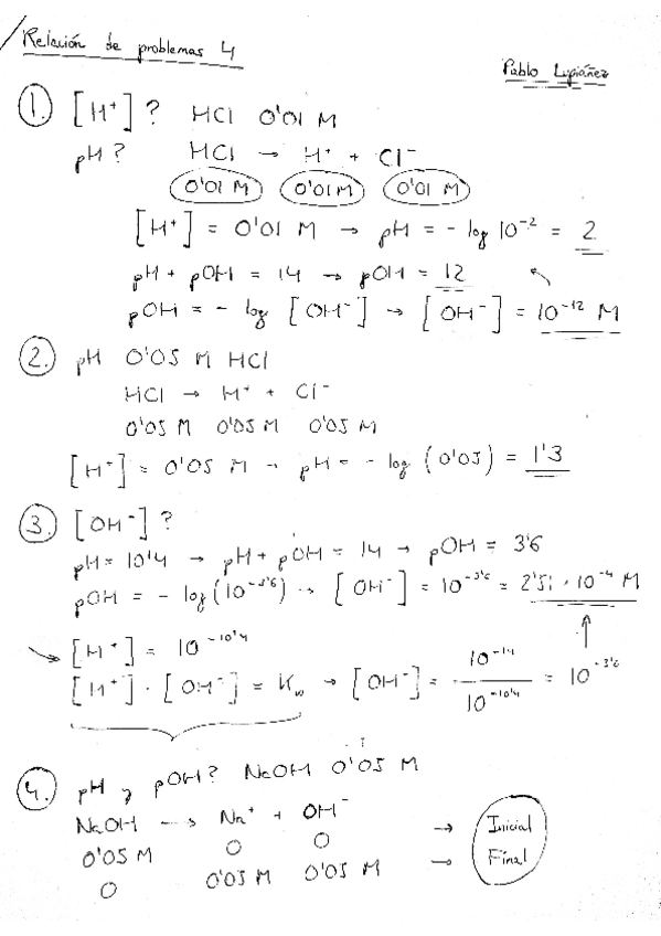 Miniatura del documento Rel.pdf