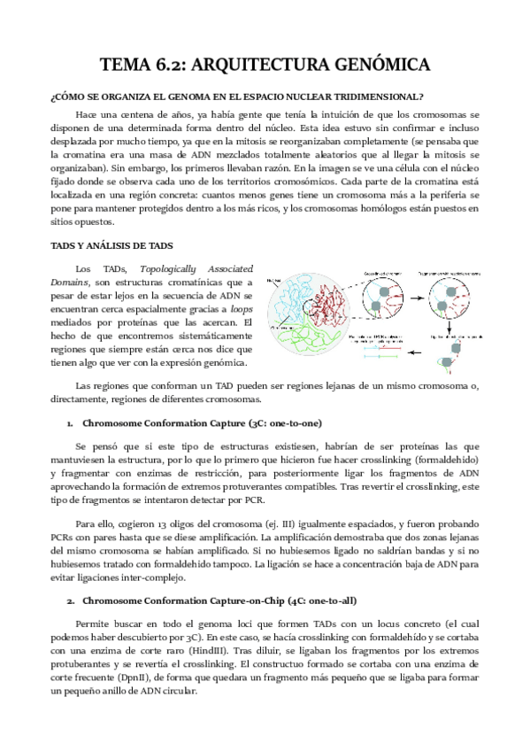Miniatura del documento TEMA-6.pdf