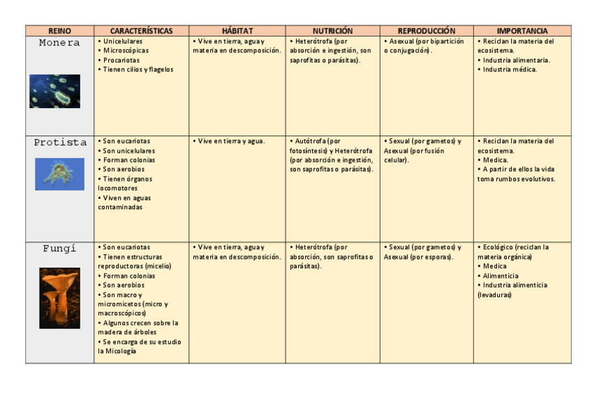 Miniatura del documento biologia-REINOS.pdf