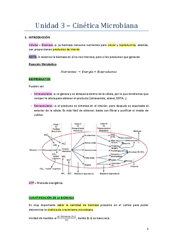 Miniatura del documento UD.pdf