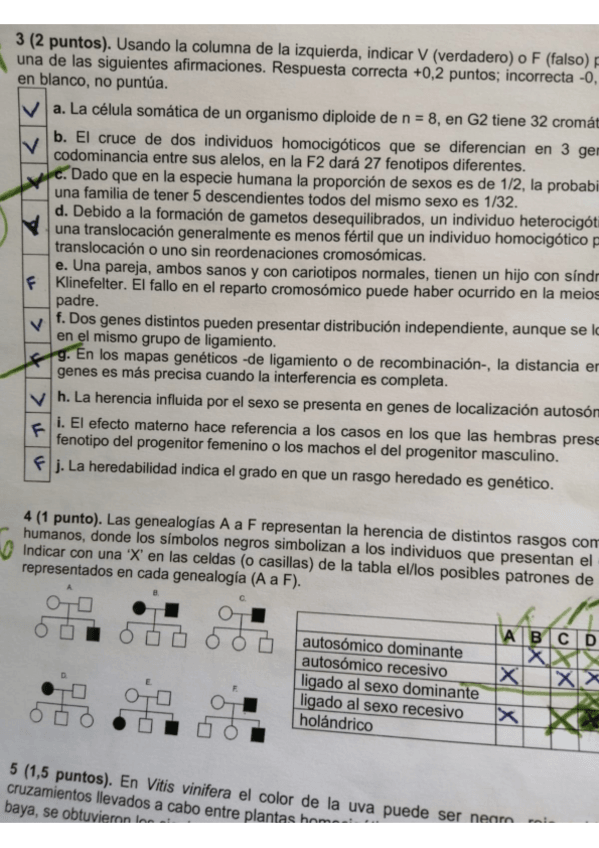 Miniatura del documento VF.pdf