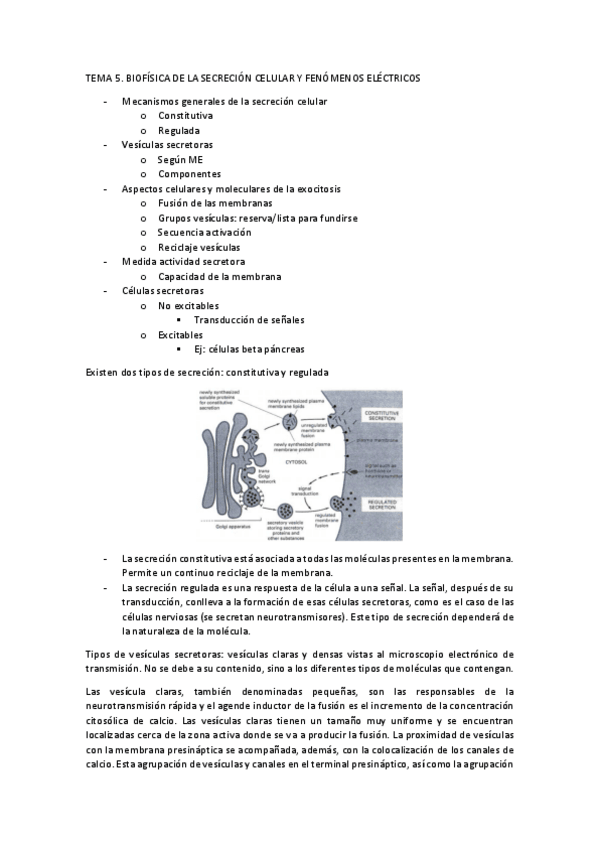 Miniatura del documento Tema 5.pdf