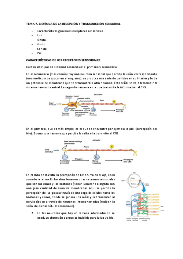 Miniatura del documento TEMA 7 con imágenes.pdf