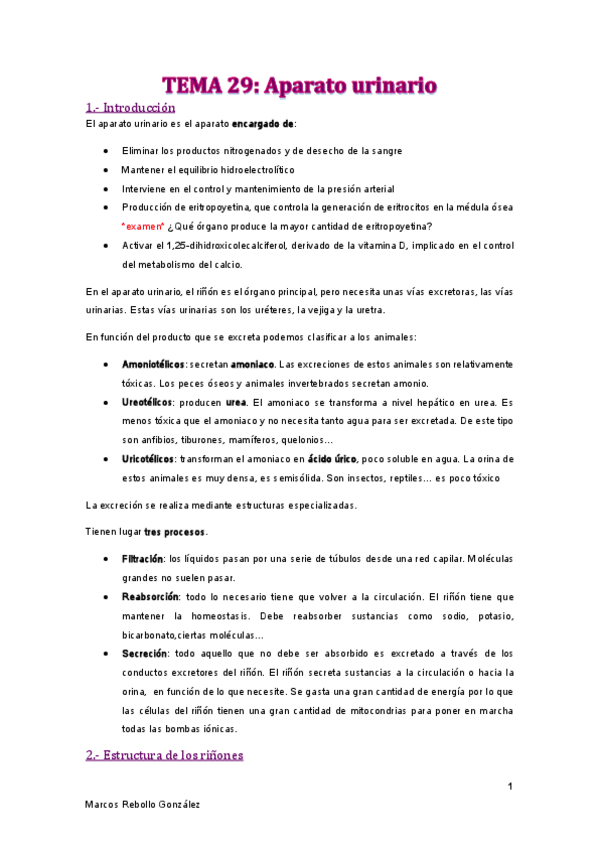 Miniatura del documento TEMA-29.pdf