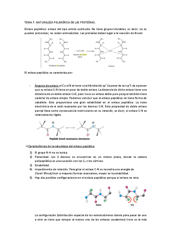 Miniatura del documento TEMA 7.pdf