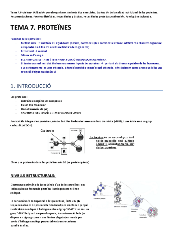 Miniatura del documento TEMA 7.pdf