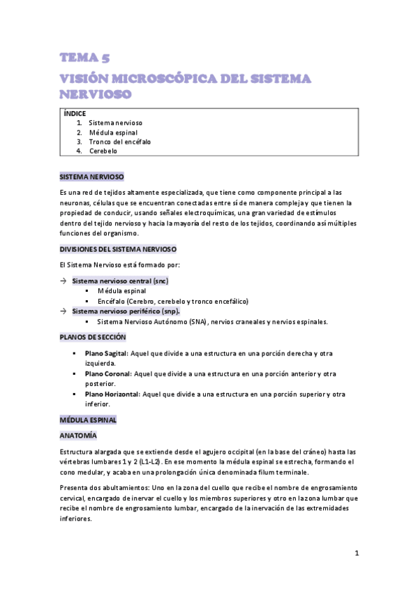 Miniatura del documento TEMA-5-NEURO.pdf
