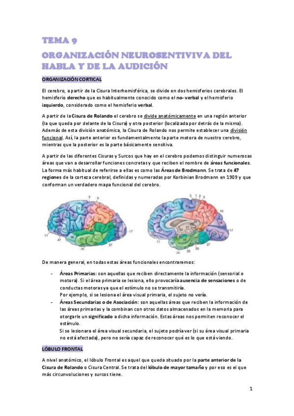 Miniatura del documento TEMA-9-NEURO.pdf