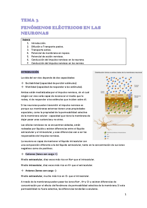 Miniatura del documento TEMA-3-NEURO.pdf