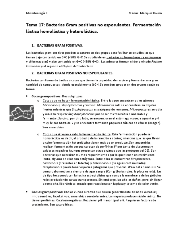 Miniatura del documento Tema 17.pdf
