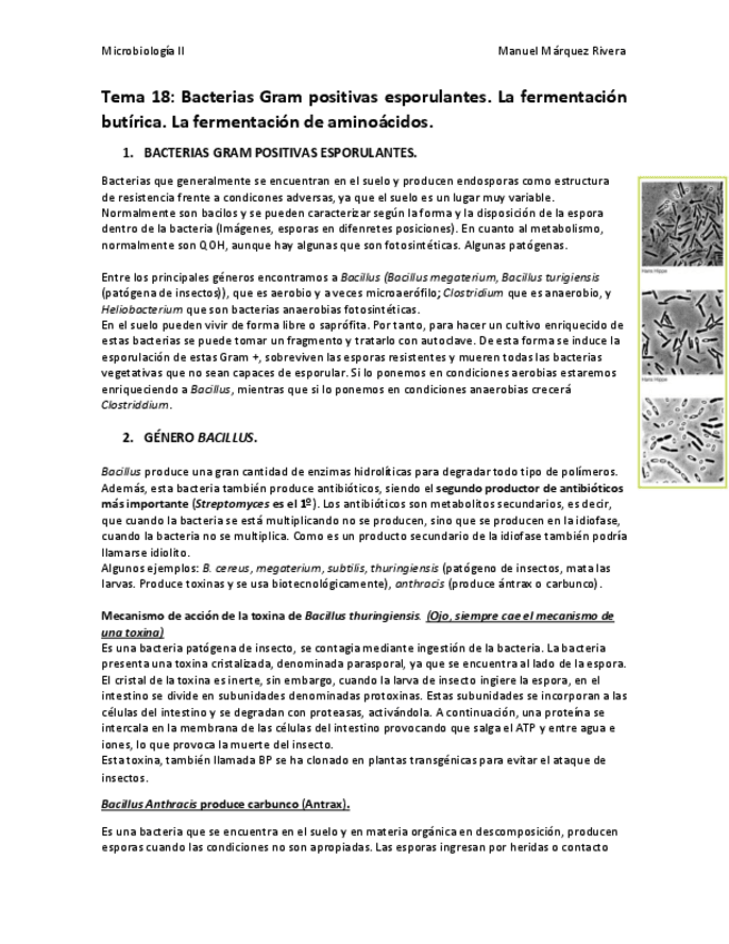 Miniatura del documento Tema 18.pdf