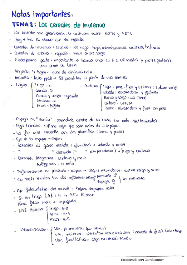 Miniatura del documento CamScanner-06-01-2021-15.pdf