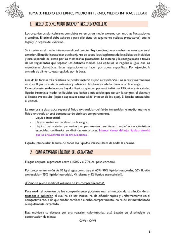 Miniatura del documento T3-MEDIO-EXTERNO-MEDIO-INTERNO.pdf