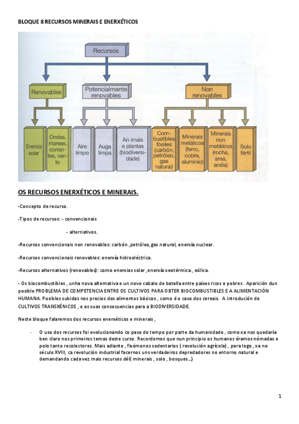 Miniatura del documento BLOQUE-8-RECURSOS-MINERAIS-E-ENERXETICOS.pdf