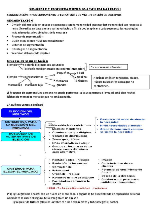 Miniatura del documento pdf2.3 SEGMENTO Y POSICIONAMIENTO.pdf