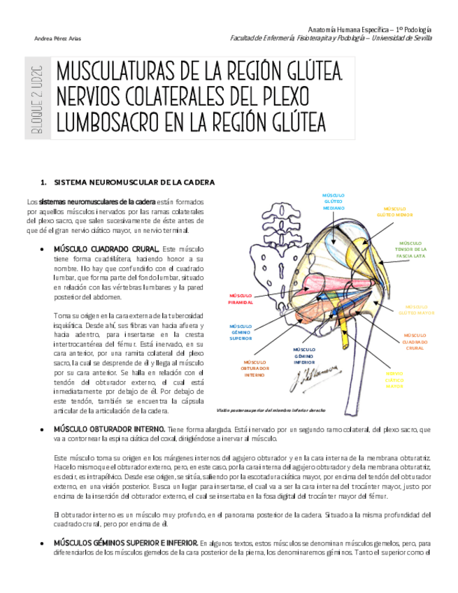 Miniatura del documento UD26.pdf