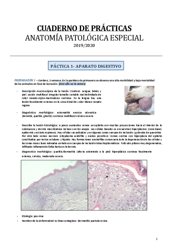 Miniatura del documento PRACTICAS-1ER-CUATRI.pdf