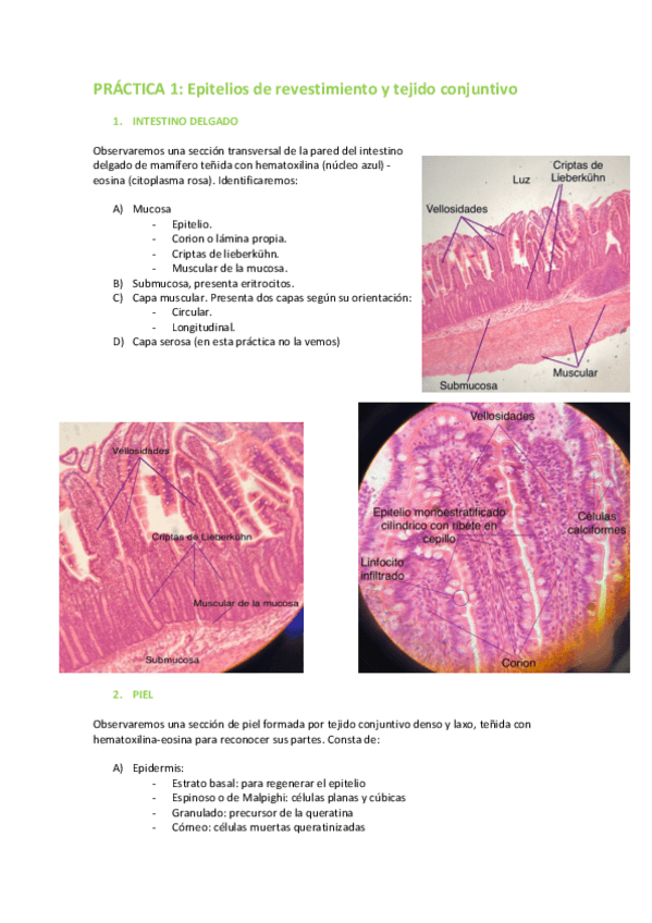 Miniatura del documento Solo fotos.pdf