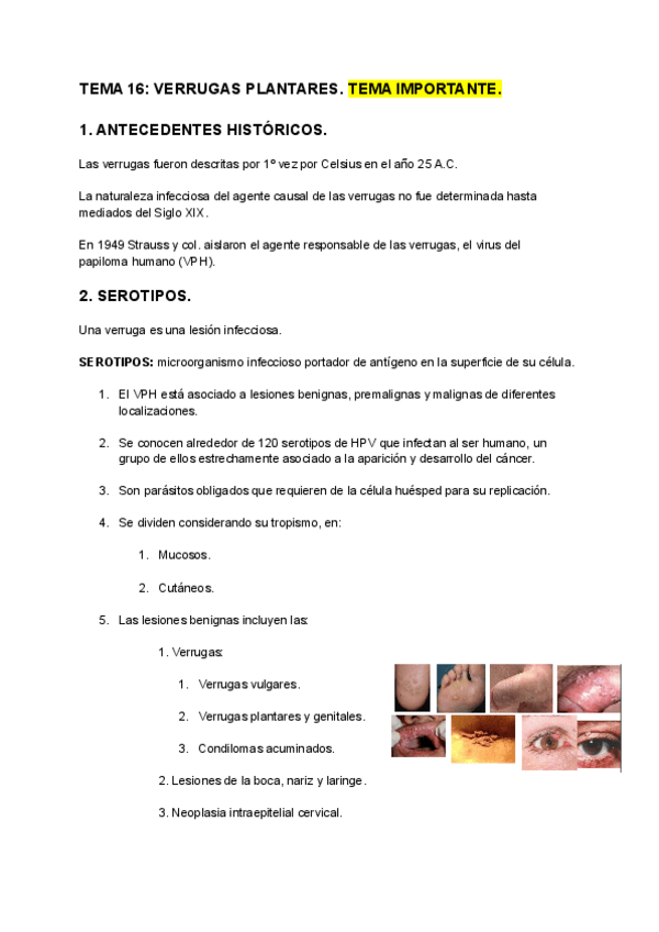 Miniatura del documento TEMA-16-VERRUGAS-PLANTARES-1.pdf