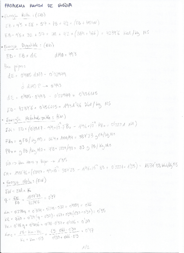 Miniatura del documento Problema-Ramon-de-Encina-Resuelto.pdf