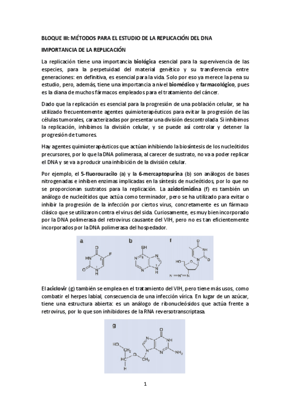 Miniatura del documento BLOQUE-III.pdf