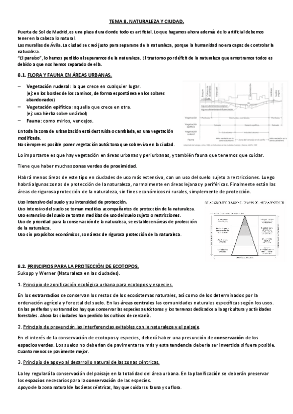 Miniatura del documento T 08. Naturaleza y ciudad.pdf