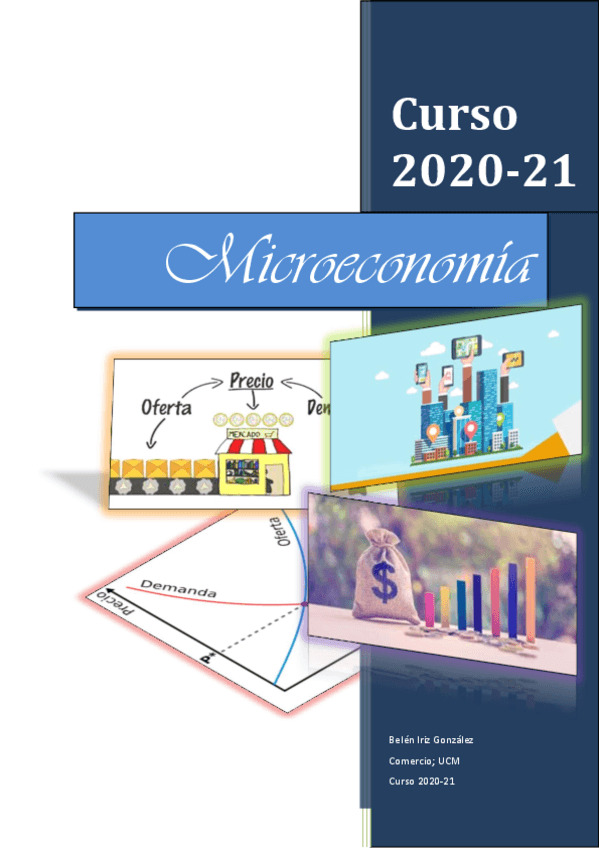 Miniatura del documento Apuntes-Microeconomia.pdf