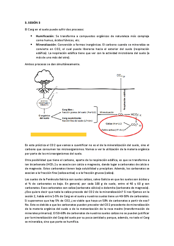 Miniatura del documento RESUMEN-PRACTICA-3-MSE.pdf