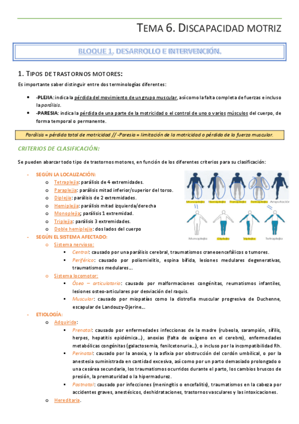 Miniatura del documento Tema-6-Discapacidad-motriz.pdf